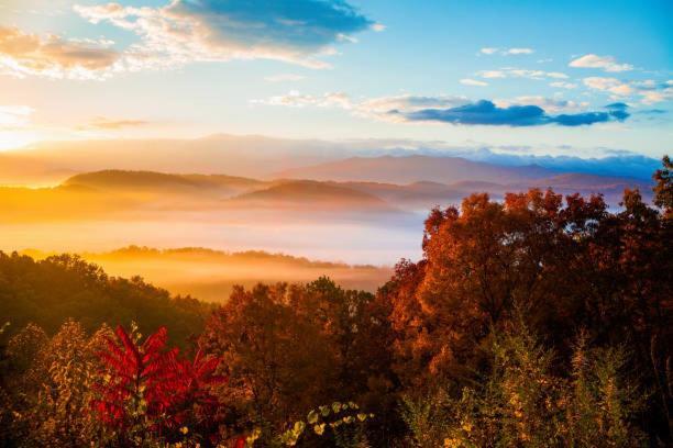 Villa New Majestic 5 Star Amazing View, Pool, Hot Tub! Pigeon Forge Esterno foto